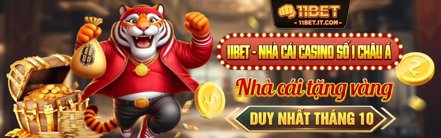 Hình ảnh chính giới thiệu blog MM9958